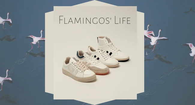 Flamingos’ Life vs Veja: Which Brand Is Better -2022