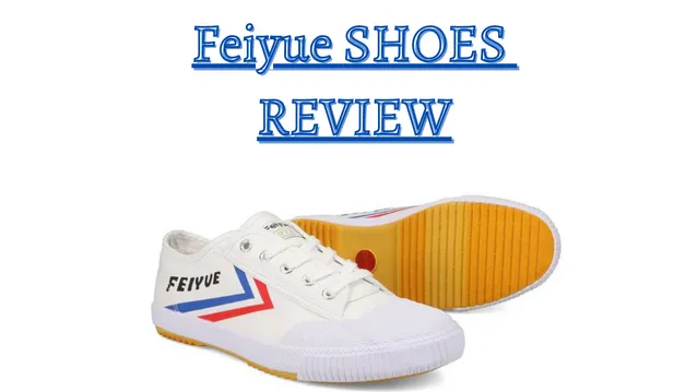 Feiyue Shoe Review 