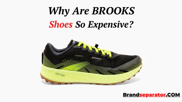 Why Are Brooks Shoes So Expensive? (Top 4 Reasons) - Brand Separator