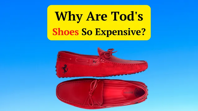 Why Are Tod's Shoes So Expensive? (Top 04 Reasons) - Brand Separator