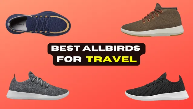 best allbirds for TRAVEL