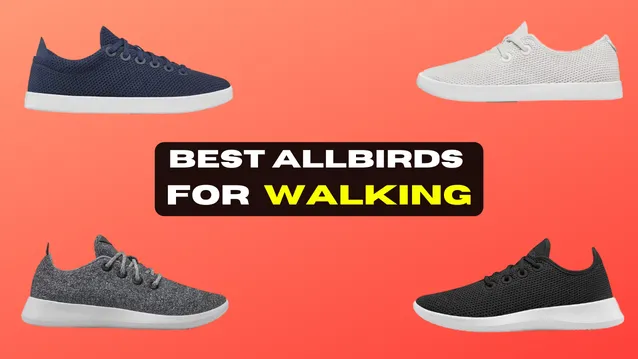 best allbirds for walking