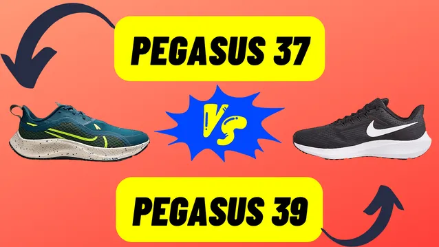 Nike Pegasus 37 VS 39